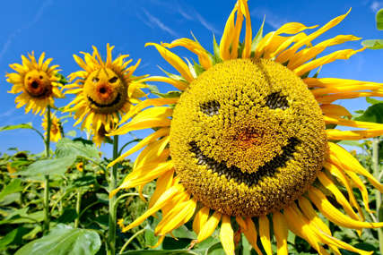 Ljeto iskoristite da zaštitite zube: Sunce pruža puno vitamina D