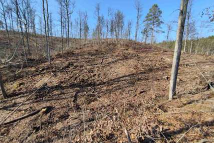 Osumnjičen za pustošenje šuma: U Kozarskoj Dubici uhapšen šumokradica