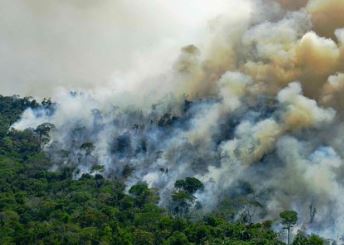 "PLUĆA SVIJETA" VIŠE NE DIŠU Amazonska prašuma sada proizvodi više ugljen-dioksida nego što može da ga apsorbuje