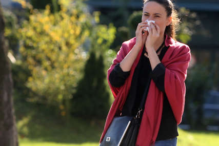 Alergična svaka treća osoba: Polen trave i lipe puni ambulante u Srpskoj