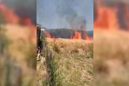 Prvi snimak požara u blizini Instituta Vinča: Mještani kažu da gori vatra u dužini od jednog kilometra (VIDEO)
