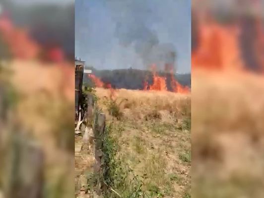 Prvi snimak požara u blizini Instituta Vinča: Mještani kažu da gori vatra u dužini od jednog kilometra (VIDEO)