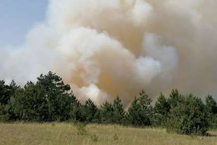 Šumski požar bukti danima: U tri mjesne zajednice u Priboju PROGLAŠENA VANREDNA SITUACIJA, ugroženo stanovništvo i imovina