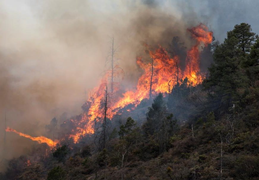 Veliki požar na grčkom ostrvu Kefalonija: Gašenje otežava jak vjetar i visoka temperatura