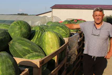 NEDAĆE PROIZVOĐAČA Uvoz uništava lubenicu u Lijevču