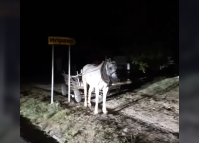 "Snašao se i parkirao svoje vozio" Vlasnik konja svezao za saobraćajni znak u mjestu kod Ključa