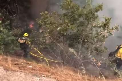 Gori borova šuma na Ugljanu: Požar buknuo u blizini Psihijatrijske bolnice, dio pacijenata evakuisan