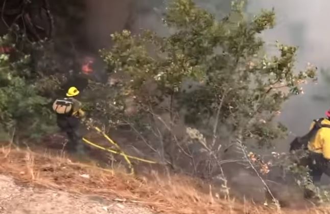 Na terenu vatrogasci: Buknuo požar na području Solina