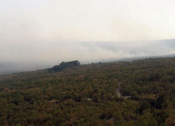 Požar u Trebinju pod kontrolom: I dalje gori u Bileći, vatrogasci na terenu