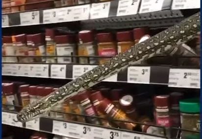 Šok u trgovini: Kupovala začine kada joj je iz police iskočila zmija od tri metra (VIDEO)