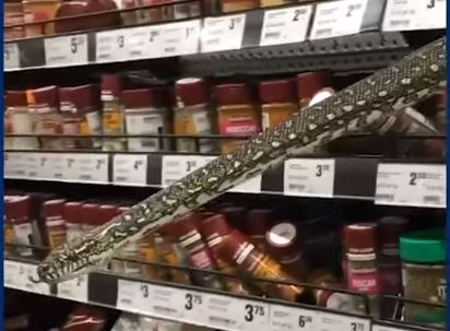 Šok u trgovini: Kupovala začine kada joj je iz police iskočila zmija od tri metra (VIDEO)