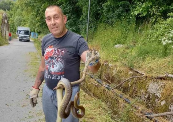 "DALEKO JOJ LIJEPA KUĆA" Pohvalio se hvatanjem zmije, građani se šokirali (FOTO)