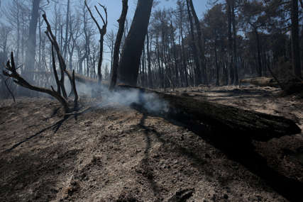 Dva veća požara stavljena pod kontrolu: Vatra progutala više hektara šume i livada