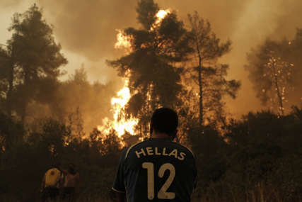 Vatra napravila OGROMNU ŠTETU: U Grčkoj više od 100.000 hektara zemlje izgorilo u požarima