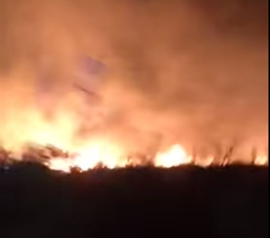 Vjetar stvara probleme: Izbio veliki požar na Hvaru, gasi ga deset vatrogasnih  vozila (VIDEO)