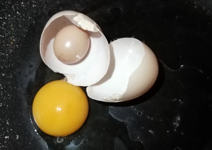 Jovanka u jajetu pronašla još jedno jaje "Izgledalo je kao Kinder, sa iznenađenjem unutra" (FOTO)