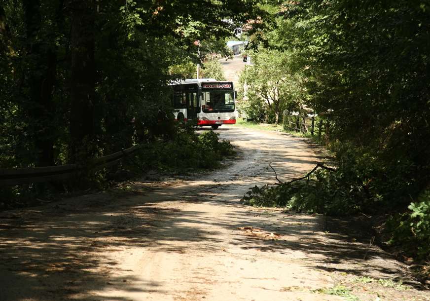 Vozači budite oprezni: Oborena stabla i grane na putu između Trapista i Česme