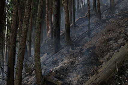 Kiša gasi požare u Jablanici: Još uvijek aktivna vatra u Konjicu i Stocu
