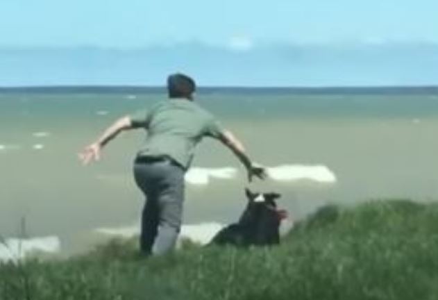 Pas umalo pao sa litice, spasio ga hrabri vlasnik (VIDEO)