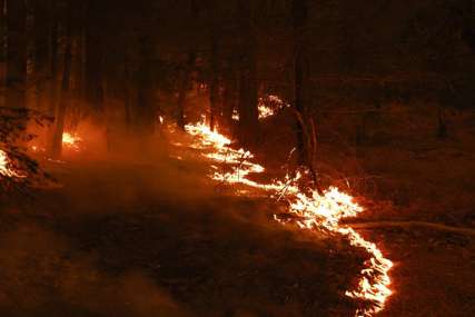 VJETAR OTEŽAVA GAŠENJE Požar u rejonu Ravne planine