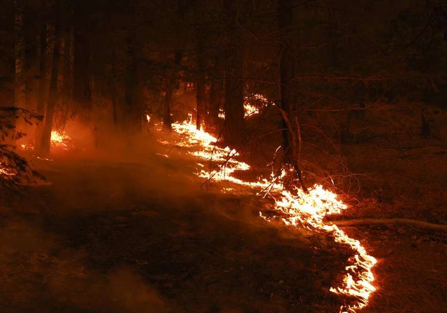 Požar u podnožju planine Zvekuše: Vatrogasci iz Konjica bore se da obuzdaju vatru