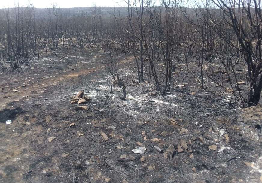 Aktivan požar na području Bileće: Odbijen od kuća, ali je i dalje prijeti