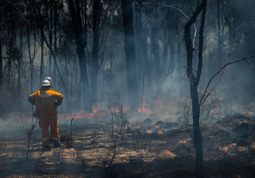 Bukti i u Rusiji: Požari zahvatili 1,5 miliona hektara šume