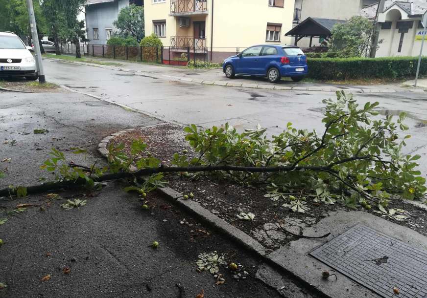 NEVRIJEME NAPRAVILO HAOS Snažna oluja protutnjala Hrvatskom, vjetar lomio drveće (VIDEO)
