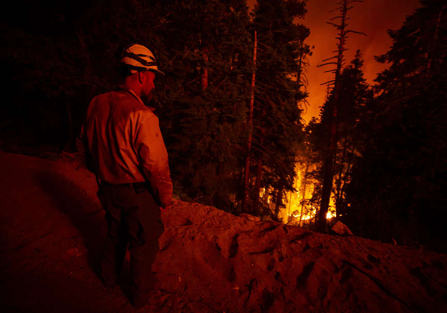 Oko drevnih stabala omotali ćebad otpornu na vatru: Vatrogasci u Kaliforniji pokušavaju da zaštite sekvoje (FOTO)
