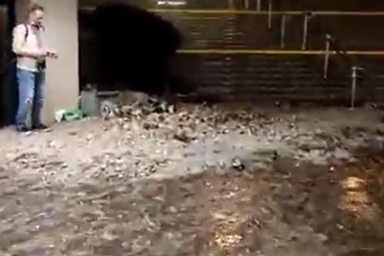 Sloveniju zahvatilo snažno nevrijeme: Poplavljeno više od 500 zgrada u Ljubljani (VIDEO)