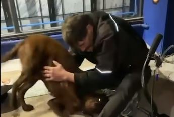 Prizor koji topi srca: Beskućnik nije mogao suzdržati suze nakon što su mu pronašli voljenog psa (VIDEO)