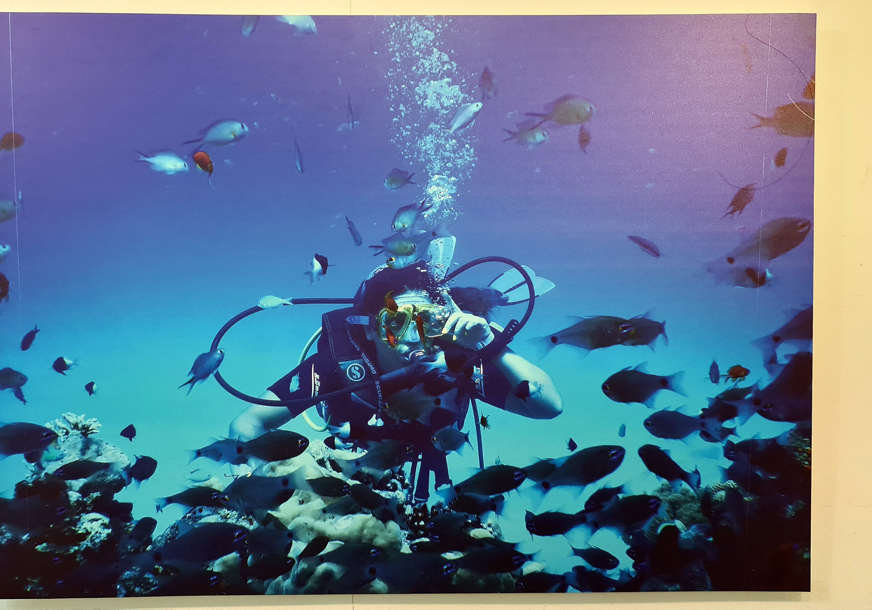 Fotografije iz dubina Crvenog mora: Otvorena izložba "Veliko plavetnilo" autorke Sandre Mlađanović (FOTO)