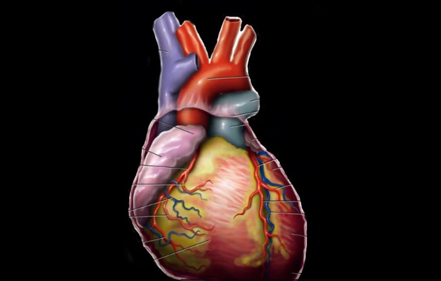 Svaki desti pacijent pati od hipertenzije "Kardiovaskularni pacijenti ne mogu da čekaju na svoje  operacije"