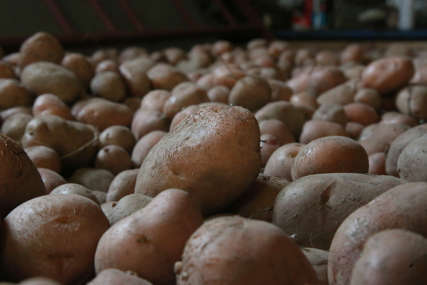 Ne ispunjava uslove kvaliteta: Zabranjen uvoz 43,3 tone krompira iz Austrije u Srpsku