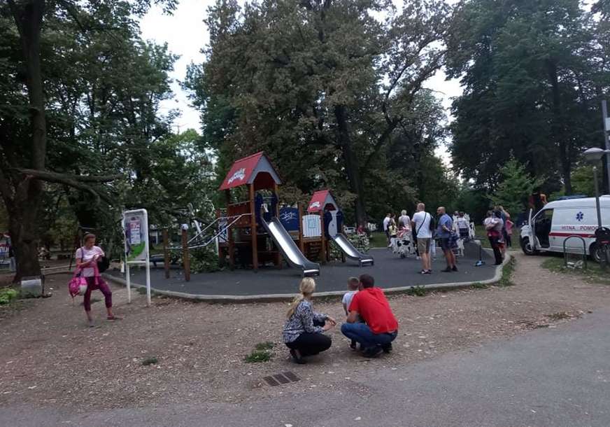 Nesreća u banjalučkom parku: Grana drveta pala na igralište, povrijeđene dvije žene i jedno dijete