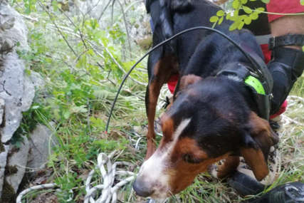 Upao u jamu duboku 20 metara: Pripadnici GSS Mostar spasili lovačkog psa Cigu (FOTO)