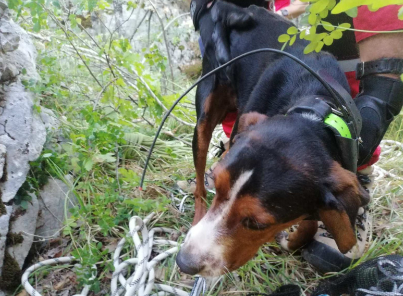 Upao u jamu duboku 20 metara: Pripadnici GSS Mostar spasili lovačkog psa Cigu (FOTO)