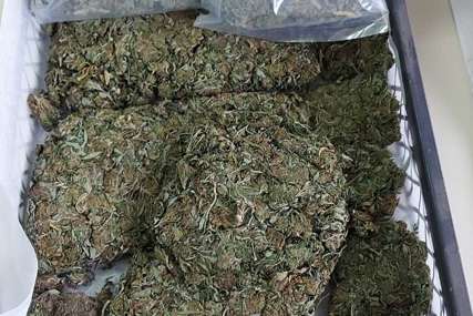 Zaplijenjen kilogram marihuane: Pretresi u Bijeljini