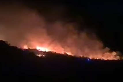 Vatra iz šume ugrožava grad: Više od 100 kuća izgorjelo u požaru