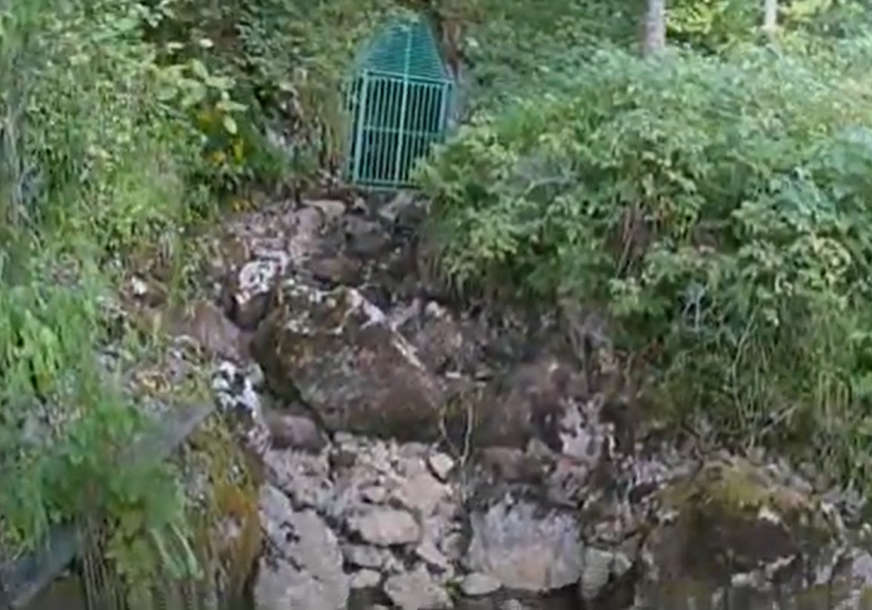 Još dva zaštićena prostora u Srpskoj: Pećina Mokranjska Miljacka i stanište Gostilj (VIDEO)