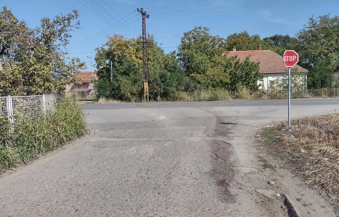FOTO: BRANKO JANAČKOVIĆ / RAS SRBIJA