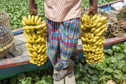 Voće bogato vlaknima: Ako vas muči nesanica pojedite bananu prije spavanja
