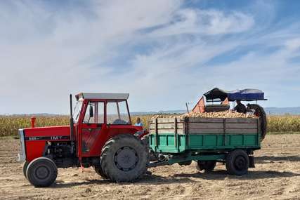 Nedostatak radne snage uzeo maha: Daju dnevnicu 150 KM, a radnika ni na vidiku