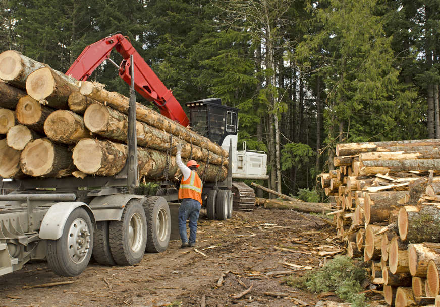 Više od pola miliona KM: Isplaćene subvencije izvođačima radova u šumarstvu