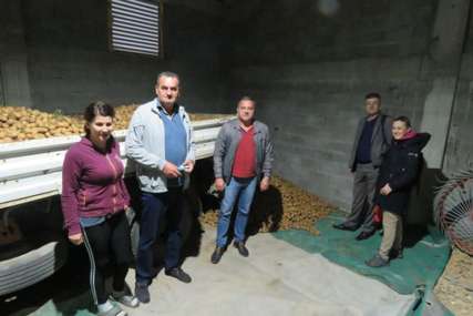 Sertifikatom zaštitili nevesinjski krompir: Porodica Radić iz Pridvoraca čuva svoj proizvod