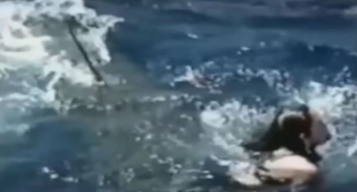 Žena u susretu s morskom nemani izgubila nogu "Kad sam čula da viču 'AJKULA', znala sam da će mene napasti" (VIDEO)