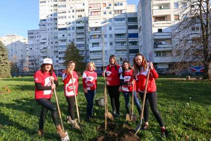 “Više zelenila, manje betona” Žene SPS podržale akciju jesenje sadnje u Banjaluci (FOTO)