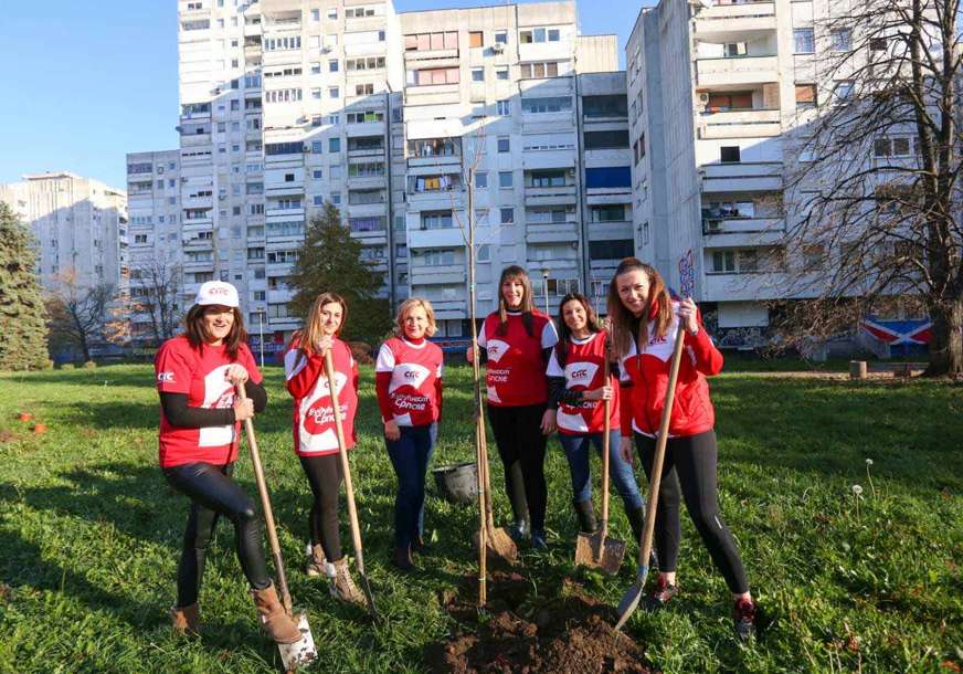 “Više zelenila, manje betona” Žene SPS podržale akciju jesenje sadnje u Banjaluci (FOTO)