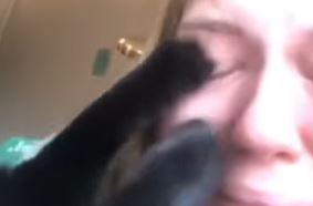 "Ovo je ljubav" Mačka pokušavala utješiti vlasnicu dok je plakala (VIDEO)