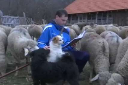 Miša učio i čuvao ovce: Master iz istorije završio sa desetkom